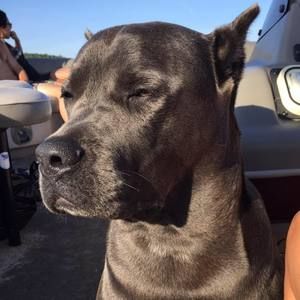 Meet your Posher, Eric